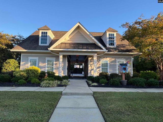 384 Explorer Drive, Chapin, SC 29036