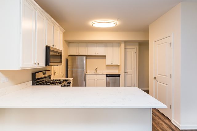 60 W MAIN Street 124, Lake Zurich, IL 60047