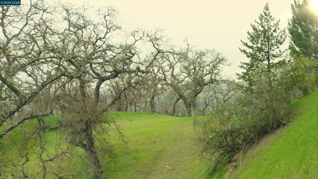 100 Los Balcones, Alamo, CA 94507