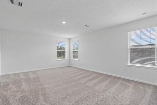 700 Appaloosa Meadow Drive, Magnolia, TX 77354