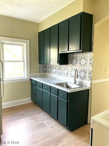 957 E 143rd Street, Cleveland, OH 44110