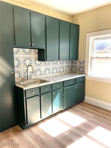 957 E 143rd Street, Cleveland, OH 44110