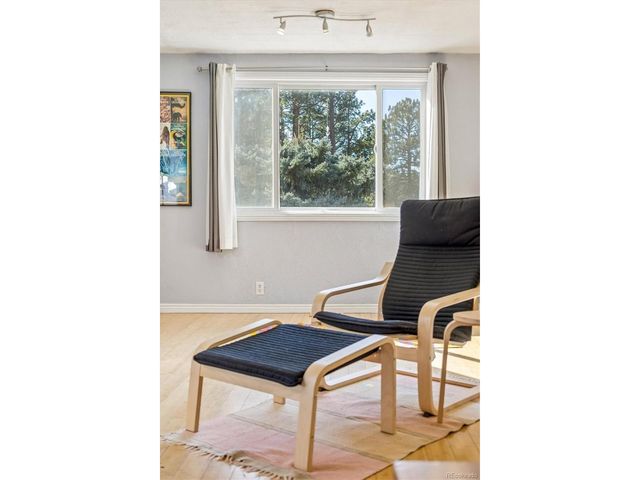 27083 Pine Dr, Evergreen, CO 80439