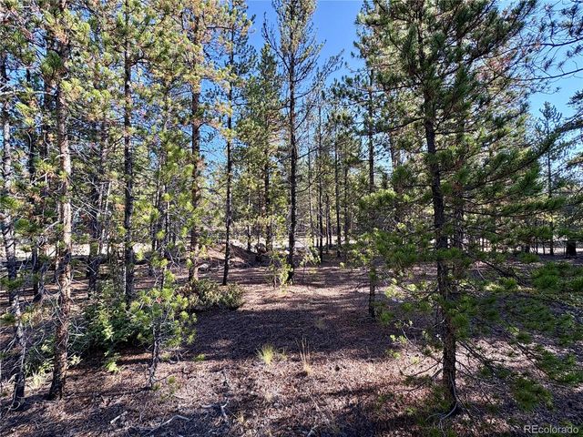 TBD-Lot 479 Birch Drive, Twin Lakes, CO 80461