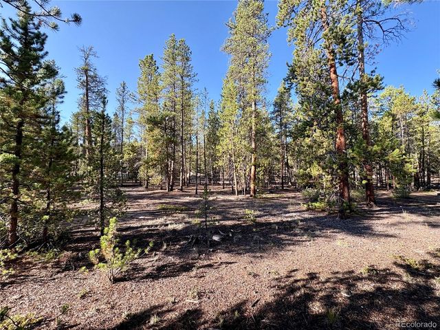 TBD-Lot 479 Birch Drive, Twin Lakes, CO 80461