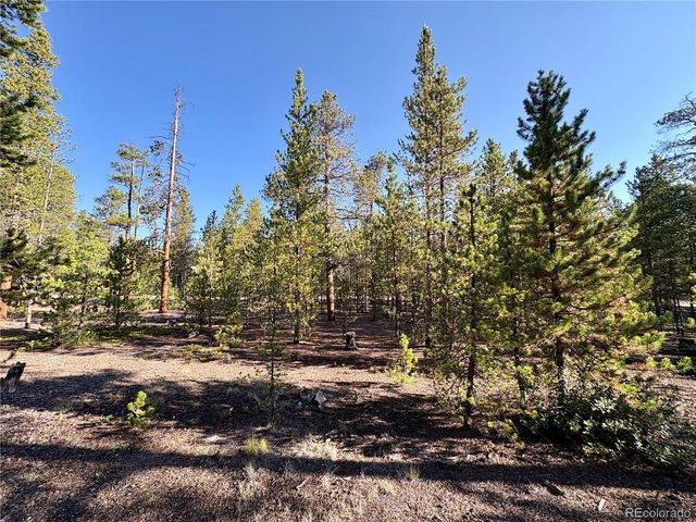 TBD-Lot 479 Birch Drive, Twin Lakes, CO 80461