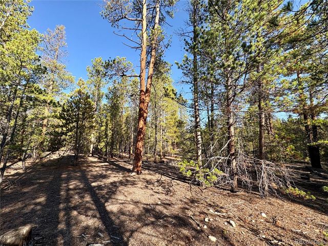 TBD-Lot 479 Birch Drive, Twin Lakes, CO 80461