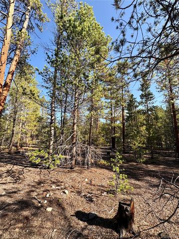 TBD-Lot 479 Birch Drive, Twin Lakes, CO 80461