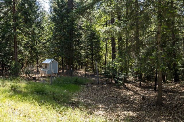 5315 Wildberry Dr, Grizzly Flats, CA 95636