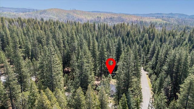5315 Wildberry Dr, Grizzly Flats, CA 95636
