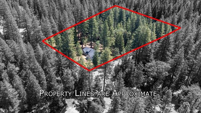 5315 Wildberry Dr, Grizzly Flats, CA 95636