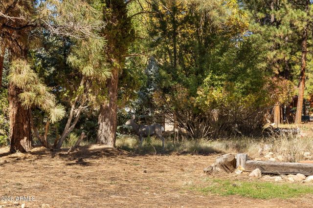 2289 N ELK RUN Street, Flagstaff, AZ 86004