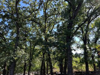 4129 Cactus Drive, Argyle, TX 76226