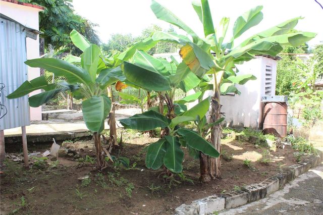 19 CALLE CORAL, Vieques, PR 00765