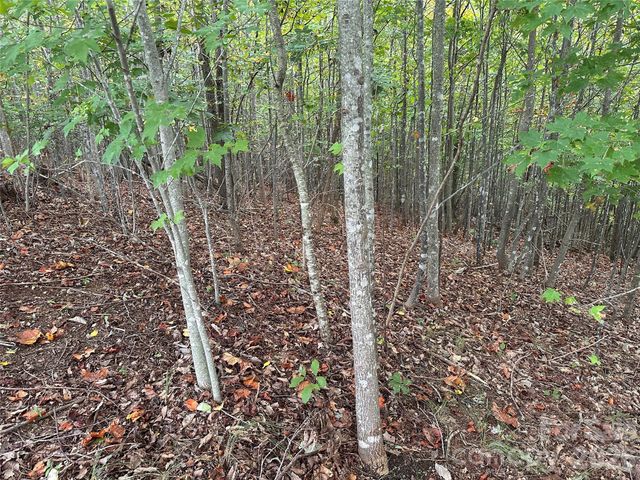 311 Scenic Vista Drive 254, Nebo, NC 28761