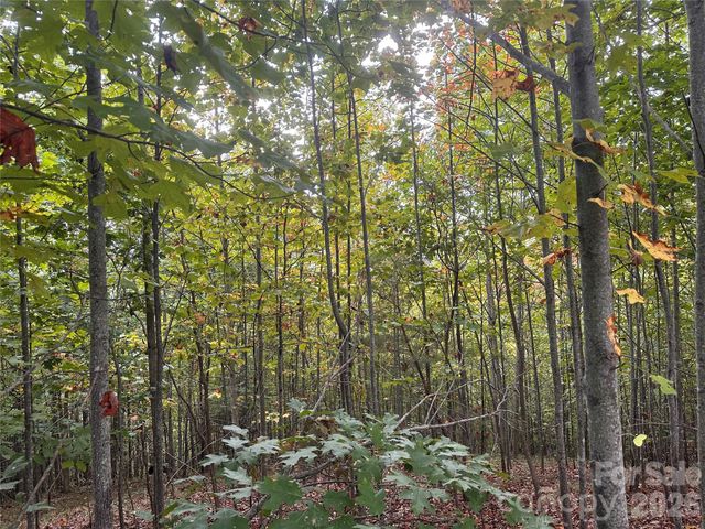 311 Scenic Vista Drive 254, Nebo, NC 28761