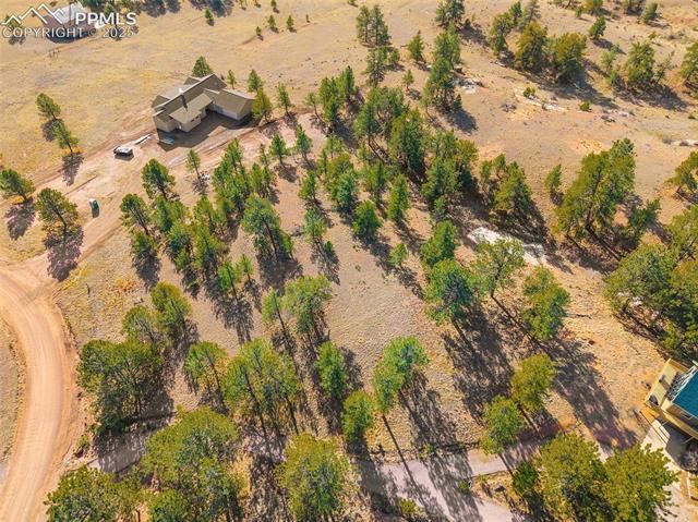 2706 Southpark Road, Florissant, CO 80816