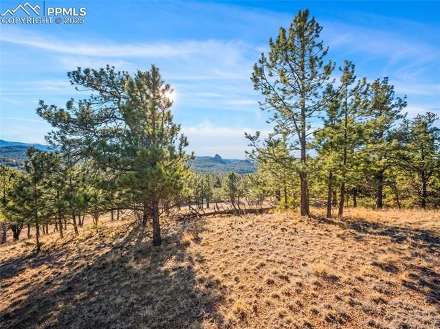 2706 Southpark Road, Florissant, CO 80816