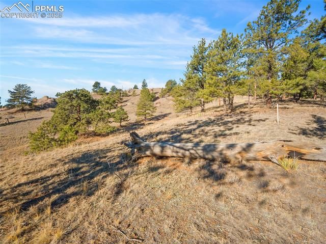 2706 Southpark Road, Florissant, CO 80816