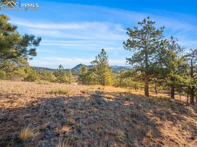2706 Southpark Road, Florissant, CO 80816