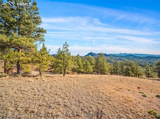 2706 Southpark Road, Florissant, CO 80816