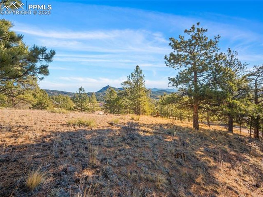 2706 Southpark Road, Florissant, CO 80816 — photo 3