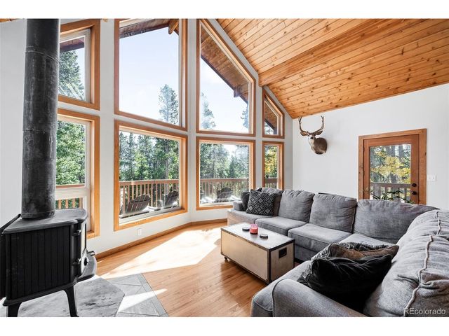 640 Deer Trail Dr, Fairplay, CO 80440