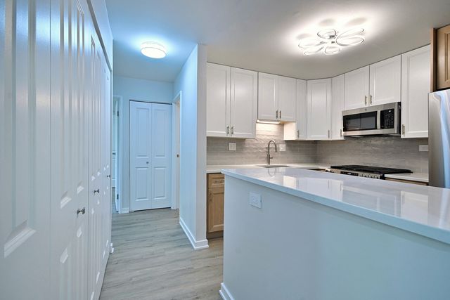 945 E Kenilworth Avenue 325, Palatine, IL 60074
