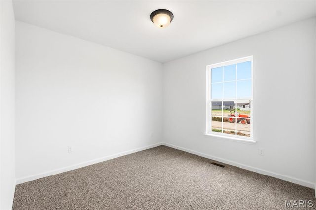 1015 Samwise Street, Wright City, MO 63390