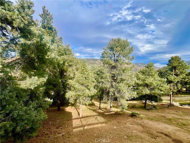 1118 Snowline, Frazier Park, CA 93225