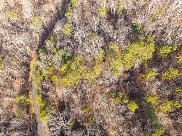 Lt 186 Harris Ridge Lane, Ellijay, GA 30540