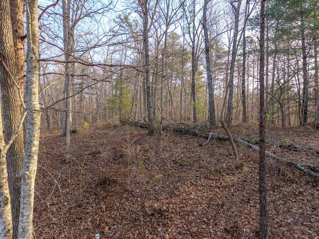 Lt 186 Harris Ridge Lane, Ellijay, GA 30540