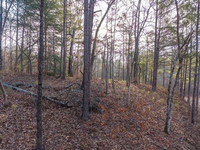 Lt 186 Harris Ridge Lane, Ellijay, GA 30540