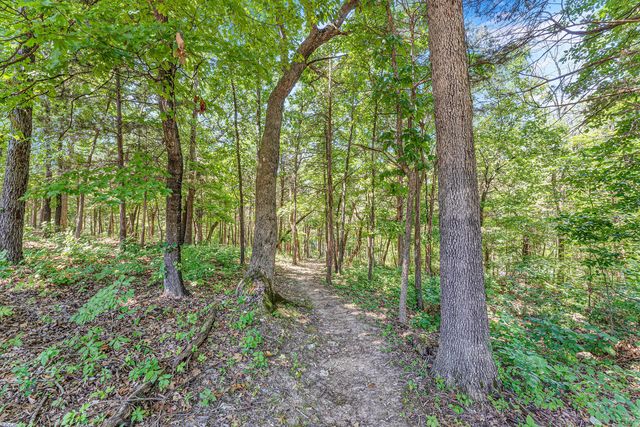 40 Kimberling Lane 1, Kimberling City, MO 65686