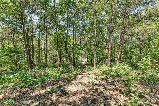 40 Kimberling Lane 1, Kimberling City, MO 65686