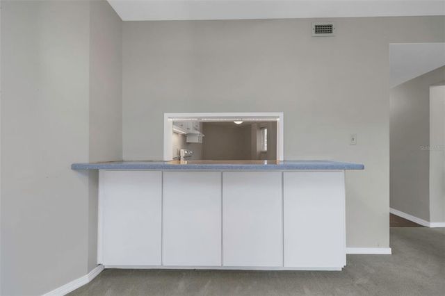 1200 N SHORE DRIVE NE 205, St Petersburg, FL 33701