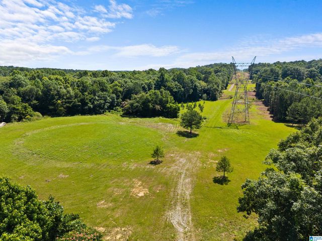 7240 POCAHONTAS ROAD, Bessemer, AL 35022