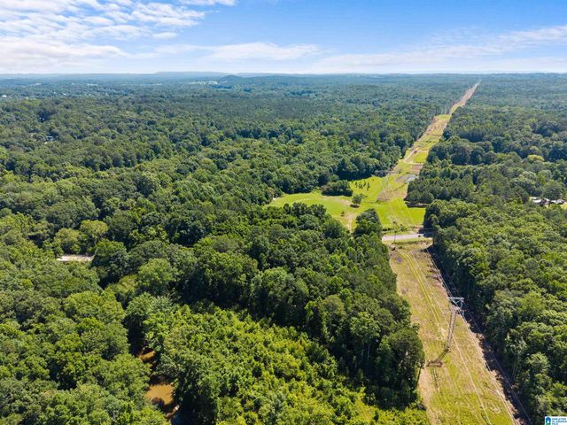 7240 POCAHONTAS ROAD, Bessemer, AL 35022