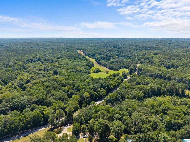 7240 POCAHONTAS ROAD, Bessemer, AL 35022