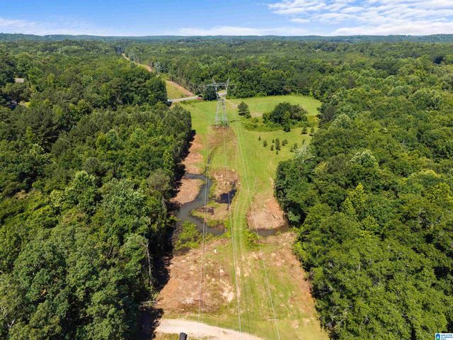 7240 POCAHONTAS ROAD, Bessemer, AL 35022