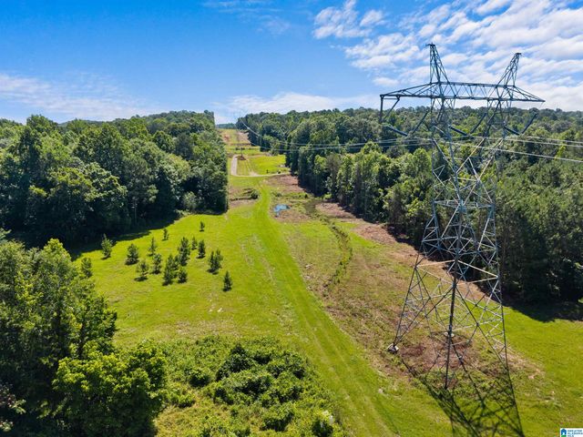 7240 POCAHONTAS ROAD, Bessemer, AL 35022