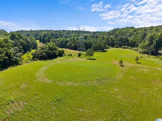 7240 POCAHONTAS ROAD, Bessemer, AL 35022