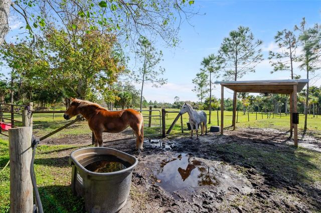 3262 PHEASANT TRAIL, Mims, FL 32754