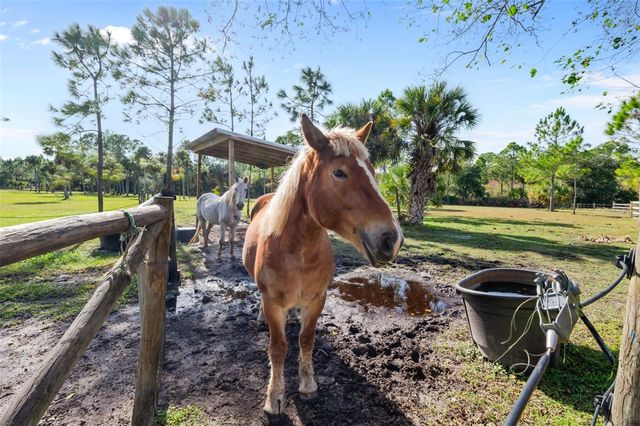 3262 PHEASANT TRAIL, Mims, FL 32754