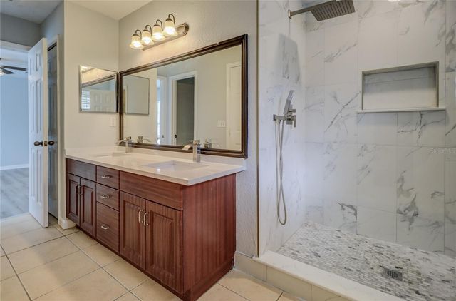 6265 ASHBURY PALMS DRIVE, Tampa, FL 33647