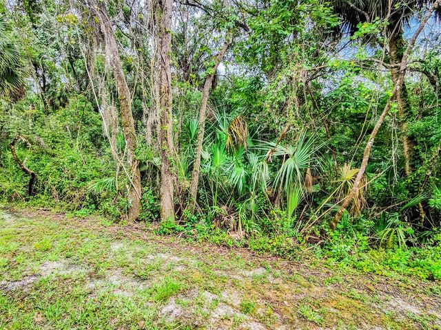 6265 ASHBURY PALMS DRIVE, Tampa, FL 33647
