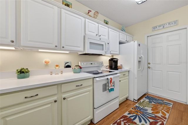 1801 TURNBULL LAKES DRIVE, New Smyrna Beach, FL 32168
