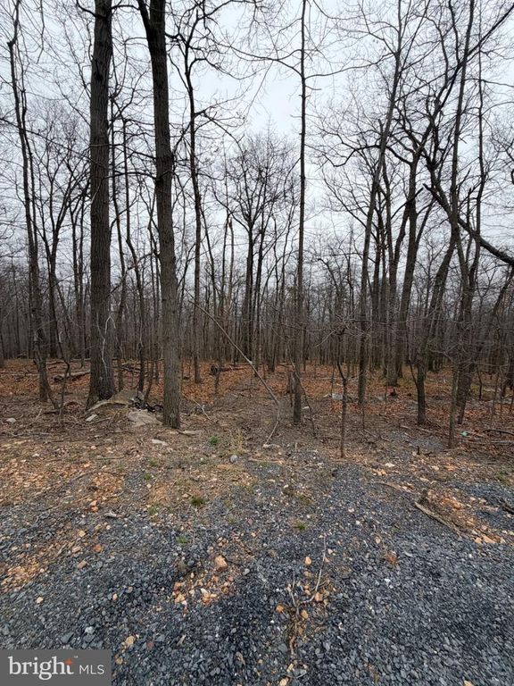 Image 1 of property listing at ARBUTIS TRL, Star Tannery, VA 22654