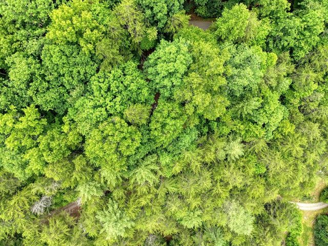 664 High Ridge Road, Murphy, NC 28906