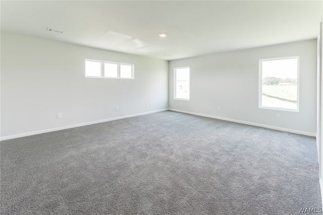 14381 Bellflower, Tuscaloosa, AL 35405